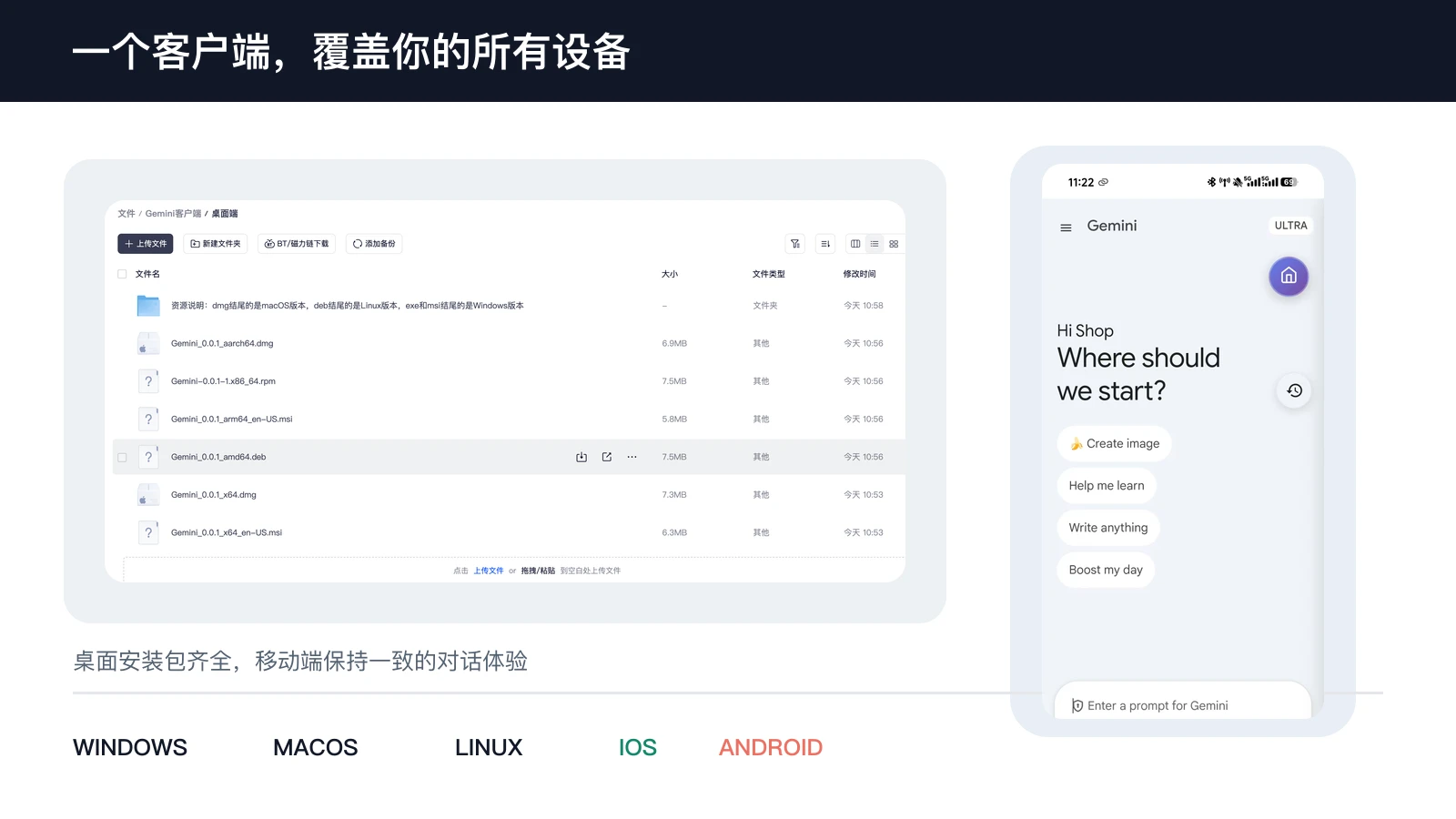 Gemini 客户端覆盖桌面端和移动端